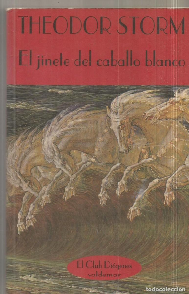 Libros de segunda mano: THEODOR STORM. EL JINETE DEL CABALLO BLANCO. VALDEMAR EL CLUB DIOGENES. PRIMERA EDICION