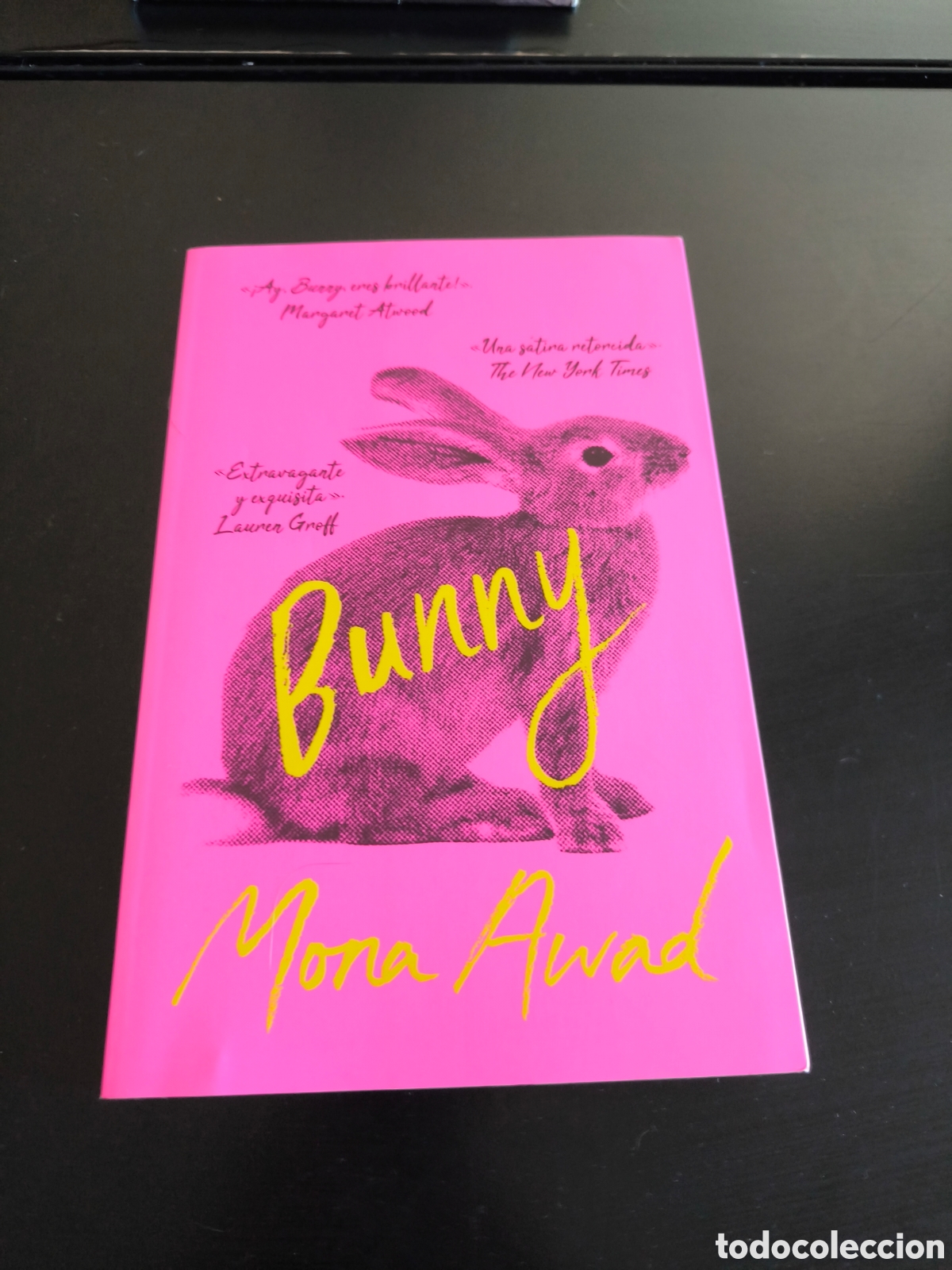Libros de segunda mano: Bunny. Mona awad. Ed stefano