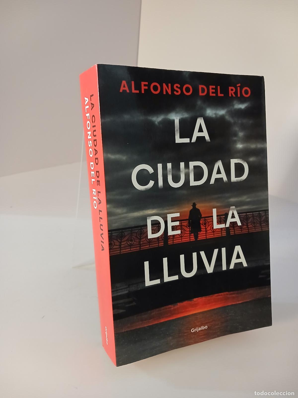 Libros de segunda mano: La ciudad de la lluvia - Alfonso del R&iacute;o