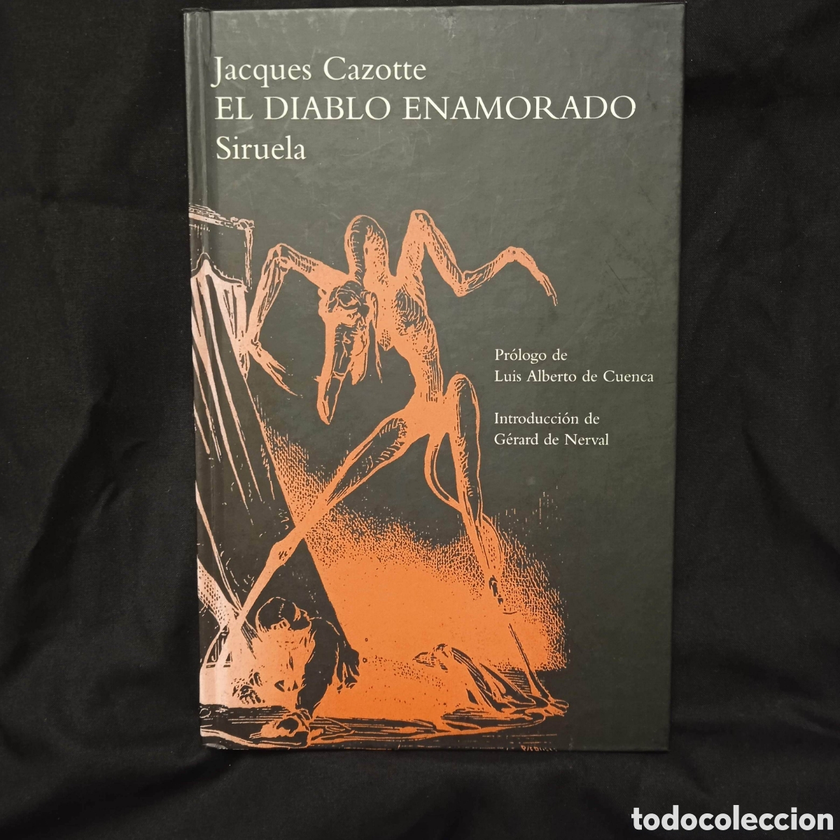 Libros de segunda mano: EL DIABLO ENAMORADO - JACQUES CAZOTTE - SIRUELA 2005 TAPA DURA