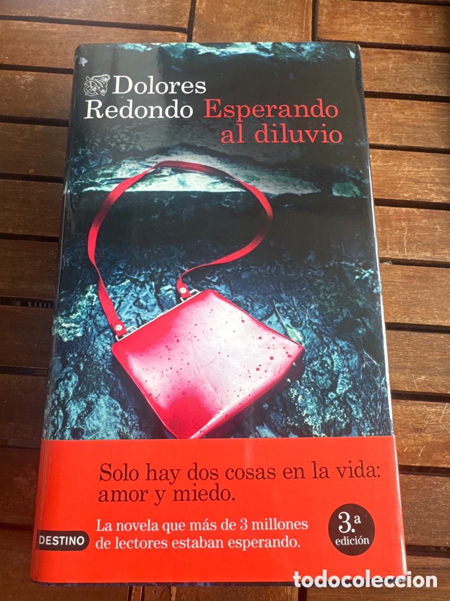 Libros de segunda mano: Esperando al diluvio Redondo, Dolores DESTINO 11 / 2022