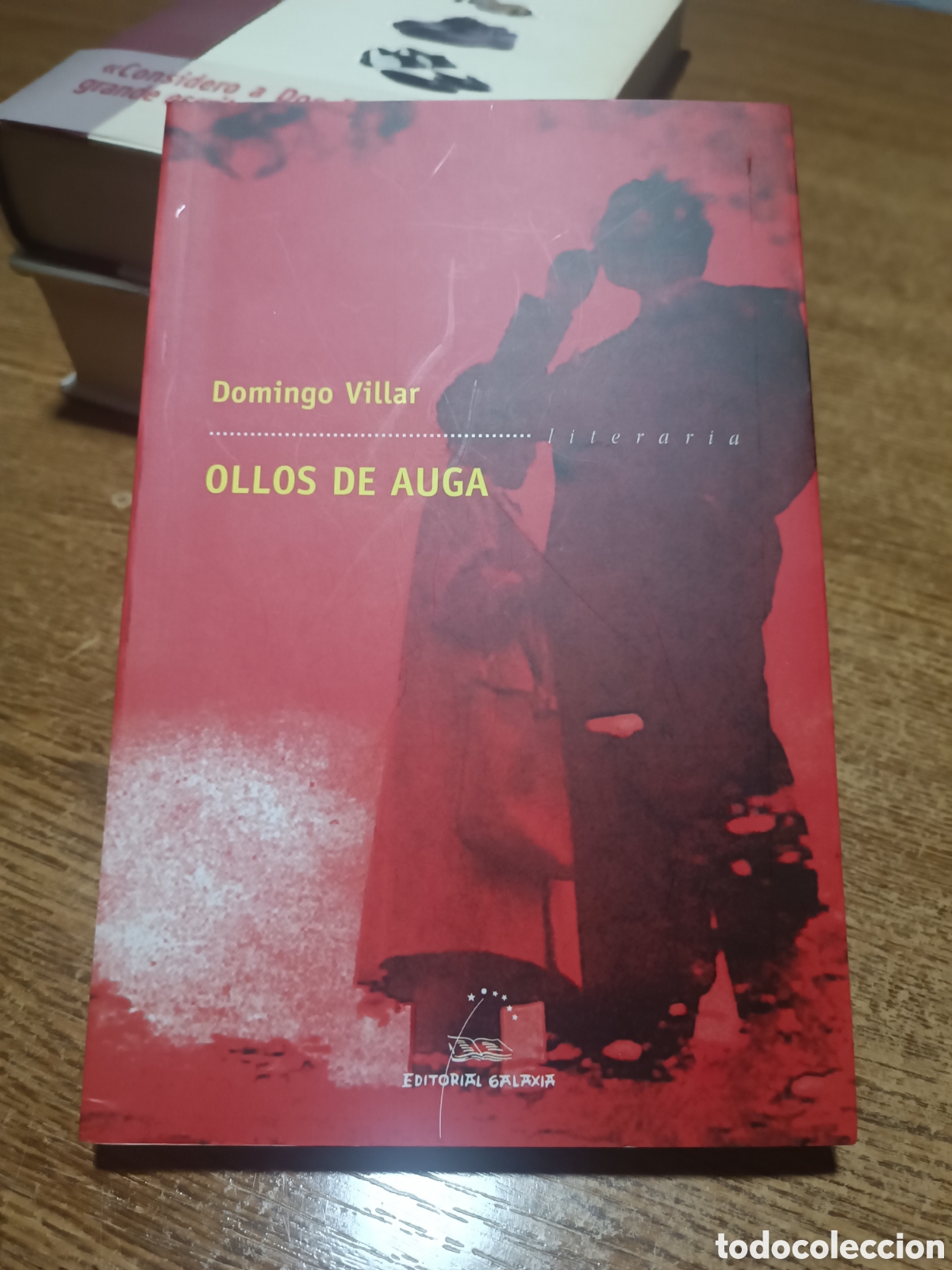 Libros de segunda mano: Ollos de Auga - Villar, Domingo - Editorial Galaxia - Literaria, 233. 2013