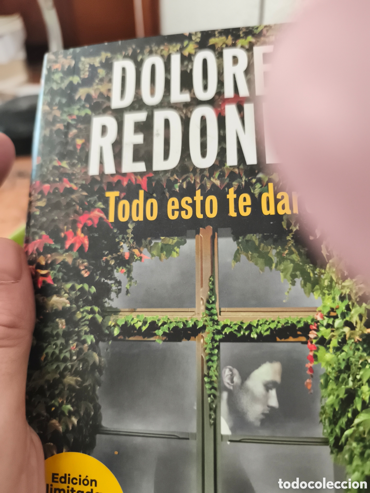 Gebrauchte B&uuml;cher: TODO ESTO TE DARE Premio Planeta 2016 Redondo, Dolores PLANETA 11 / 2016