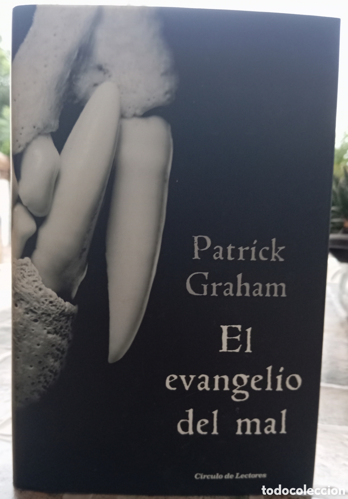 Libros de segunda mano: EL EVANGELIO DEL MAL - PATRICK GRAHAM