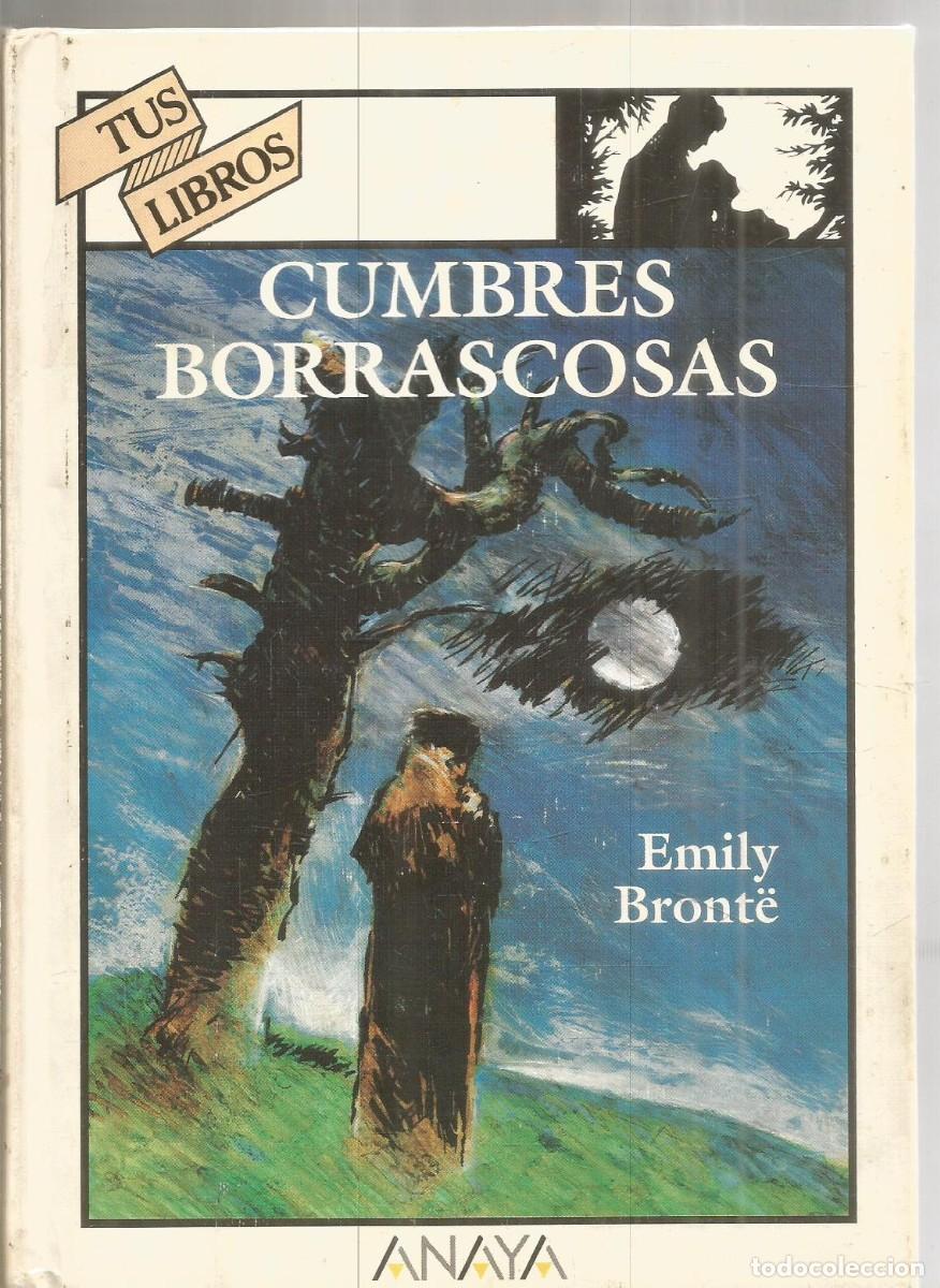 Libros de segunda mano: EMILY BRONTE. CUMBRES BORRASCOSAS. ANAYA TUS LIBROS. PRIMERA EDICION