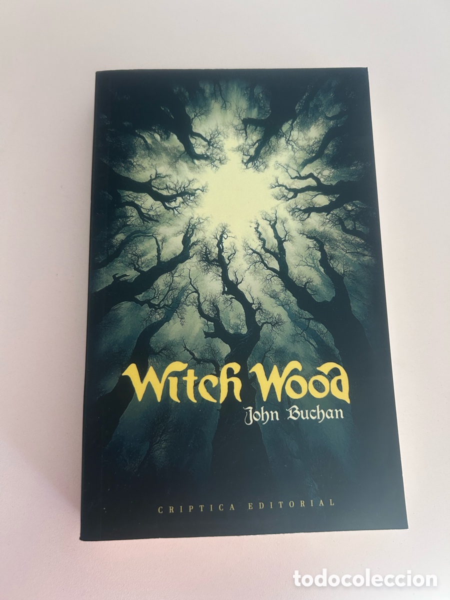 Libros de segunda mano: WITCH WOOD &ndash; John Buchan &ndash; Cr&iacute;ptica Editorial &ndash; Edici&oacute;n bolsillo