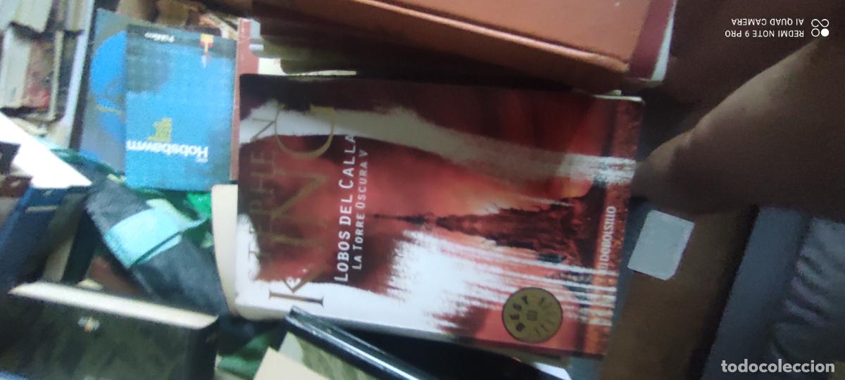 Libros de segunda mano: LOBOS DEL CALLA. LA TORRE OSCURA V. STEPHEN KING.