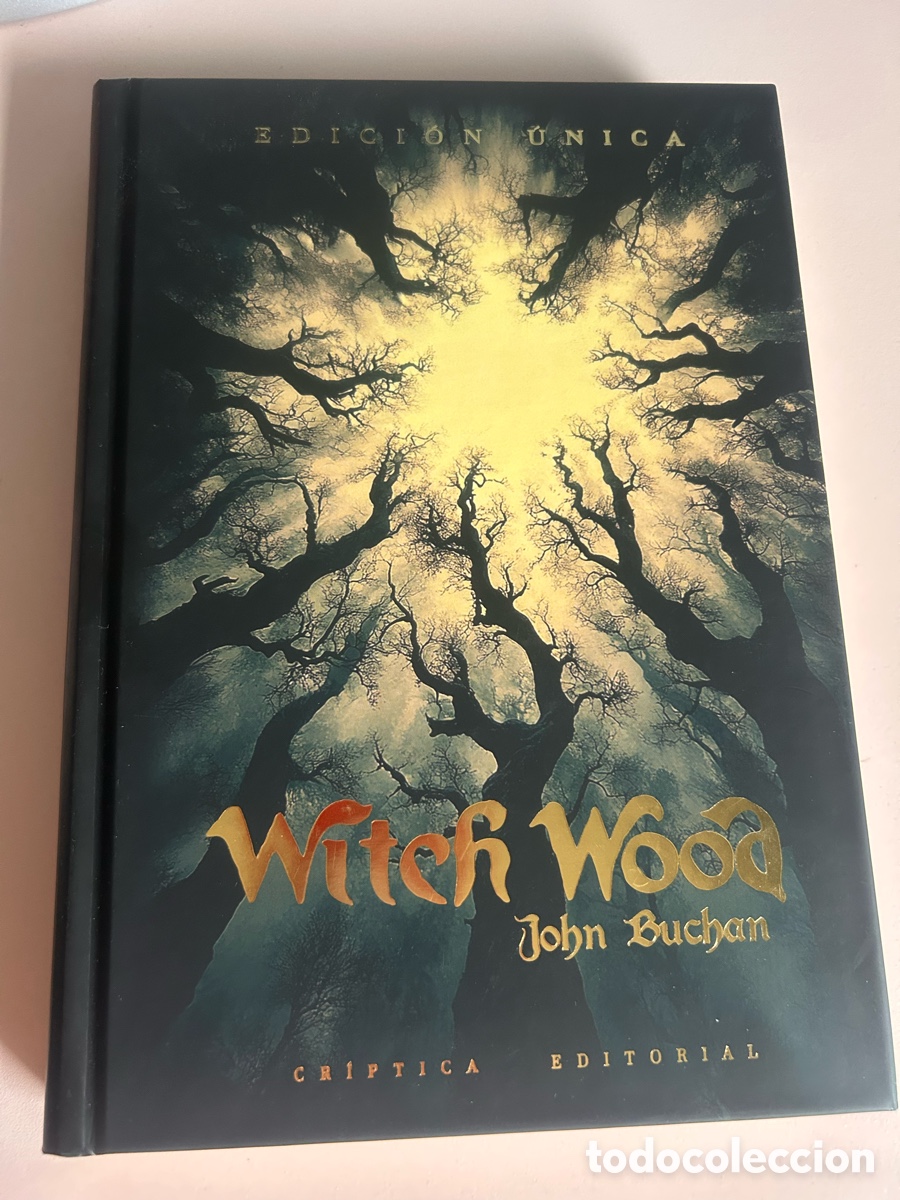 Libros de segunda mano: WITCH WOOD &ndash; John Buchan &ndash; Cr&iacute;ptica Editorial &ndash; Edici&oacute;n &Uacute;nica