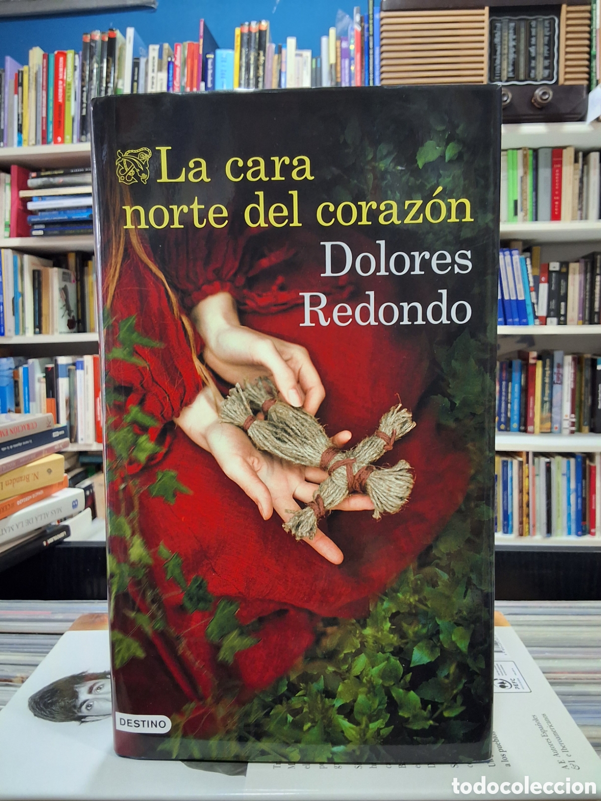 Libros de segunda mano: LA CARA NORTE DEL CORAZ&Oacute;N - DOLORES REDONDO