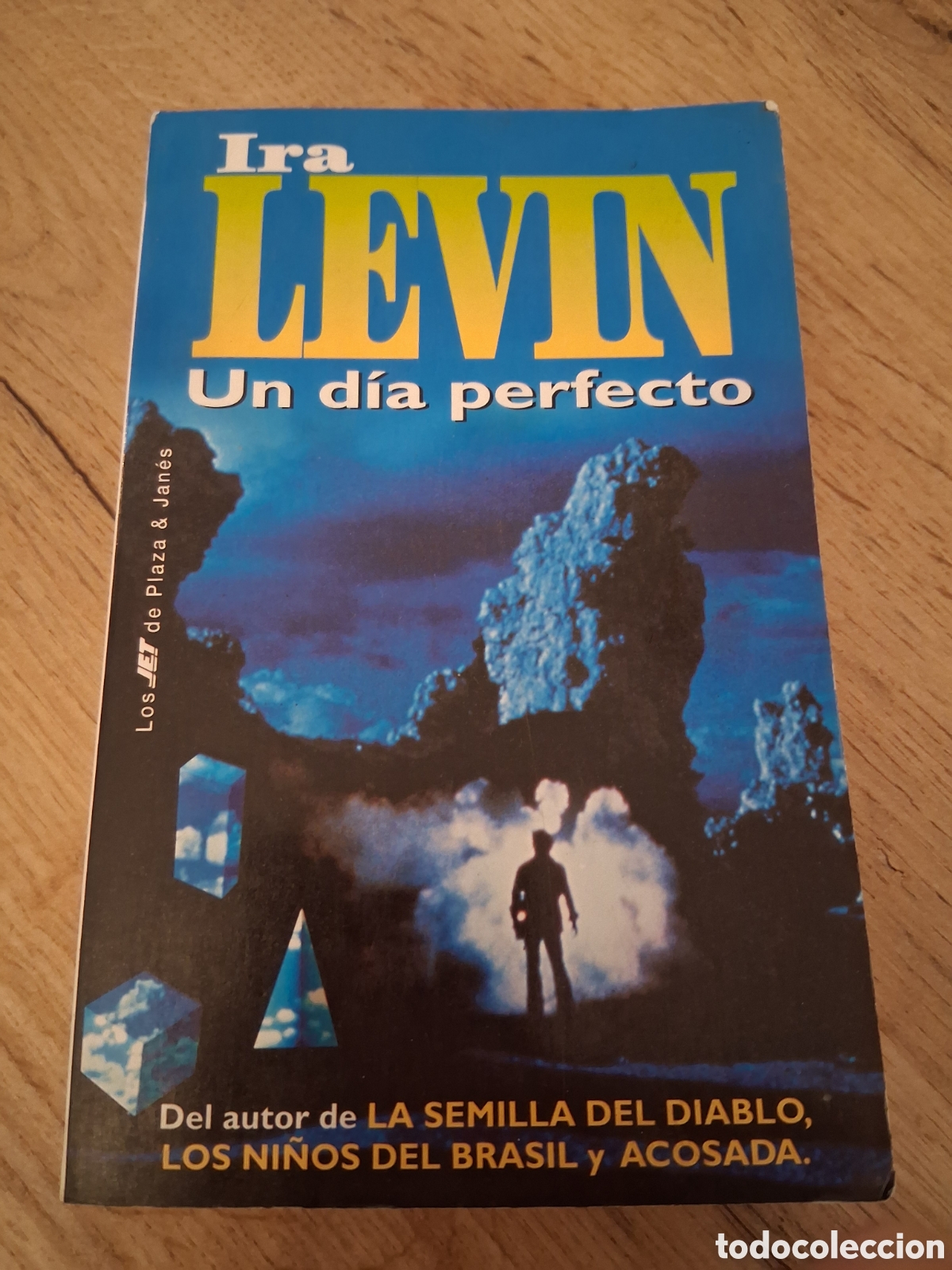 Libros de segunda mano: Ira Levin - Un dia perfecto - PYJ