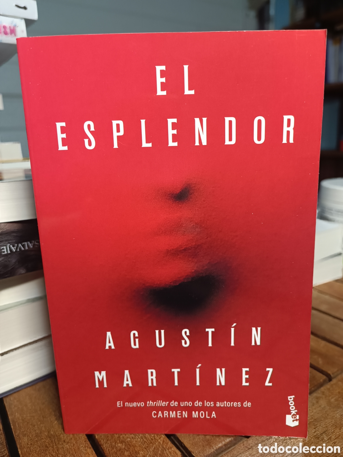 Gebrauchte B&uuml;cher: El esplendor Agust&iacute;n Mart&iacute;nez booket Carmen mola 2026