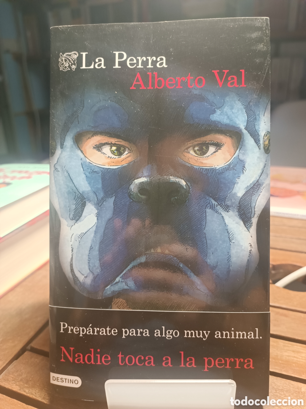 Gebrauchte B&uuml;cher: Alberto val la perra destino primera edici&oacute;n 2023