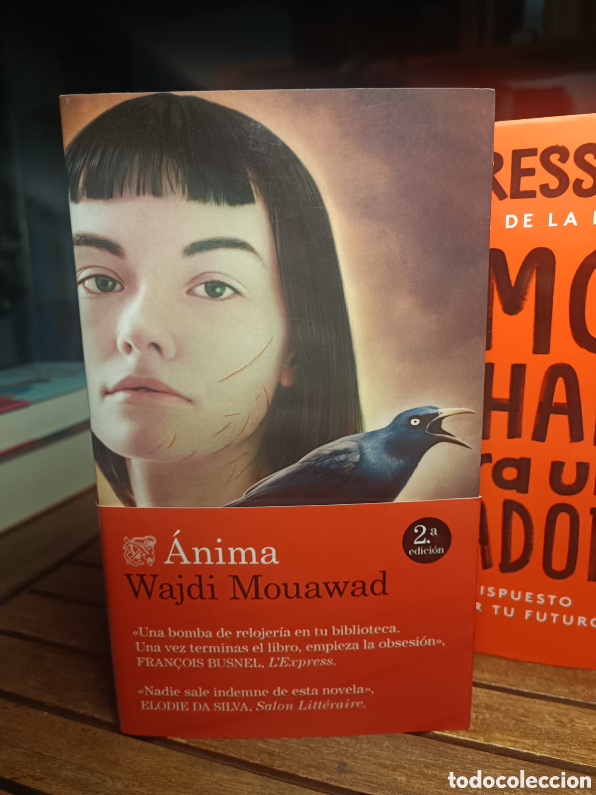 Gebrauchte B&uuml;cher: Anima wajdi Mouawad destino 2024