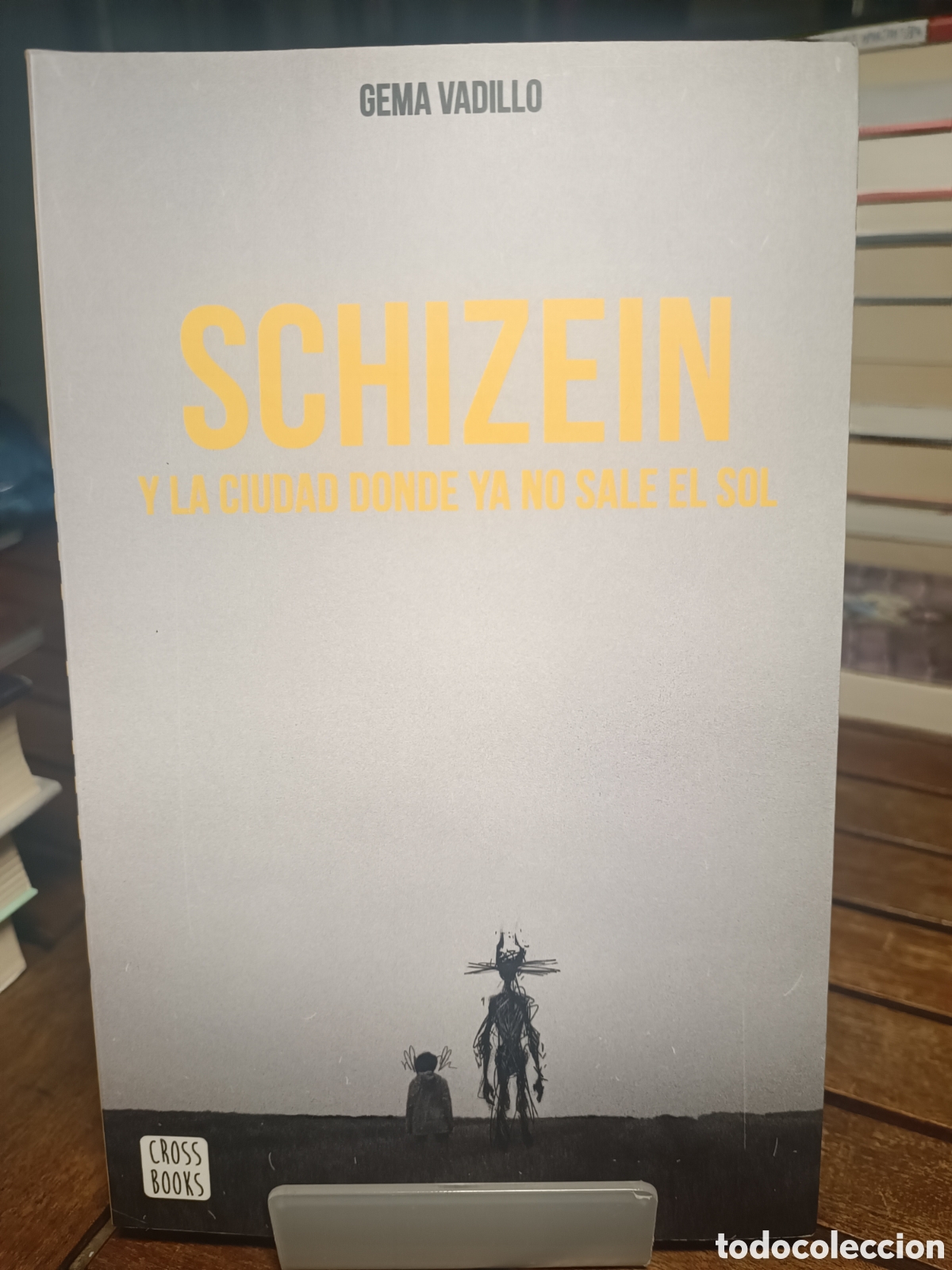 Gebrauchte B&uuml;cher: Schizein y la ciudad donde ya no sale el sol gema Vadillo croos books 2023
