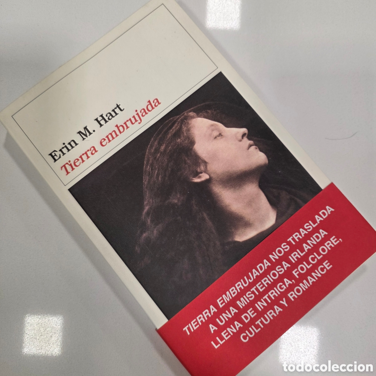 Livros em segunda m&atilde;o: Erin M Hart Tierra embrujada misterio Irlanda Destino thriller