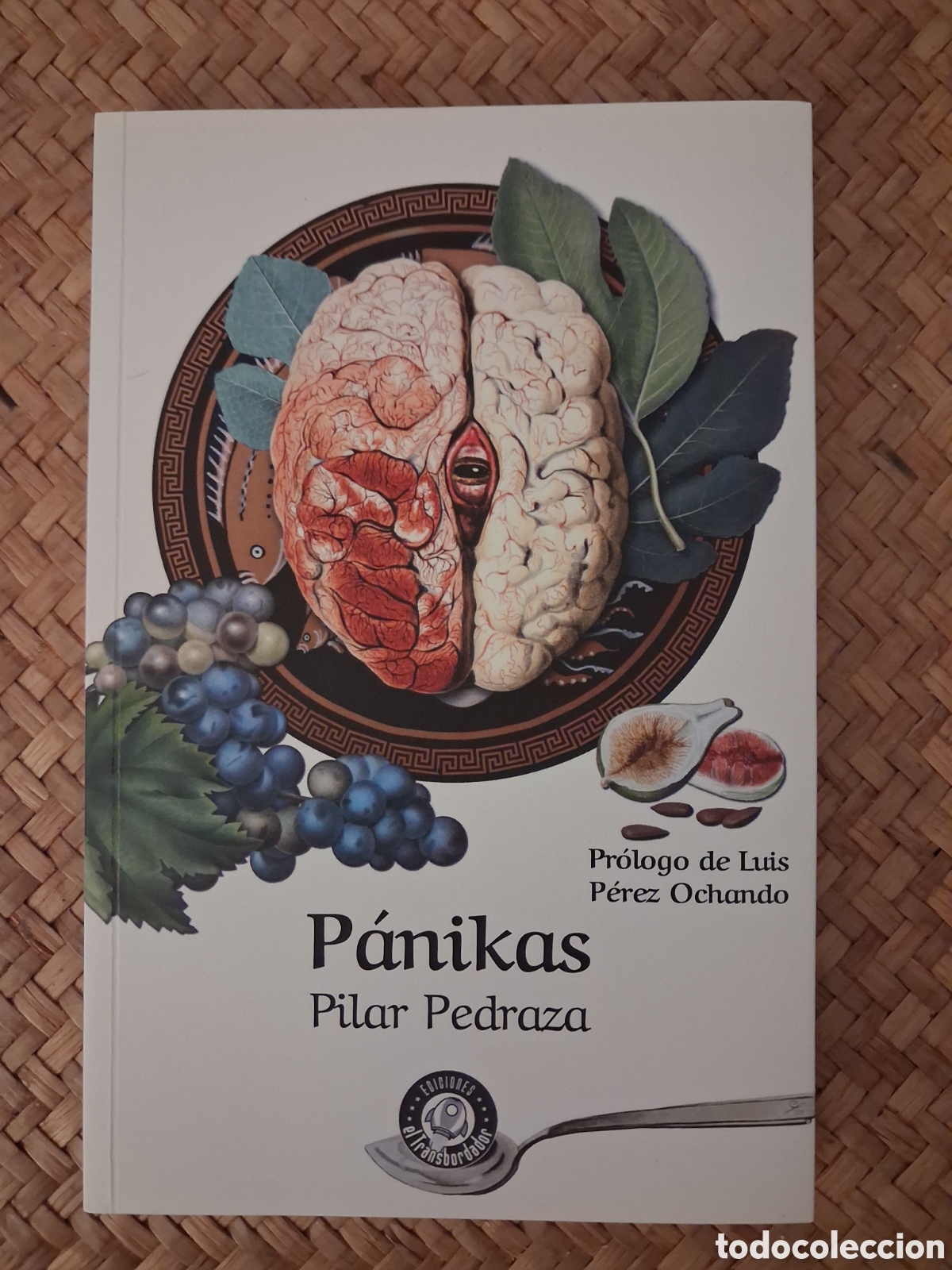 Libros de segunda mano: P&Aacute;NIKAS. PILAR PEDRAZA. ED. EL TRANSBORDADOR, 2019.
