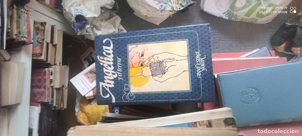Libros de segunda mano: Ang&eacute;lica y el terror.- Golon, Anne