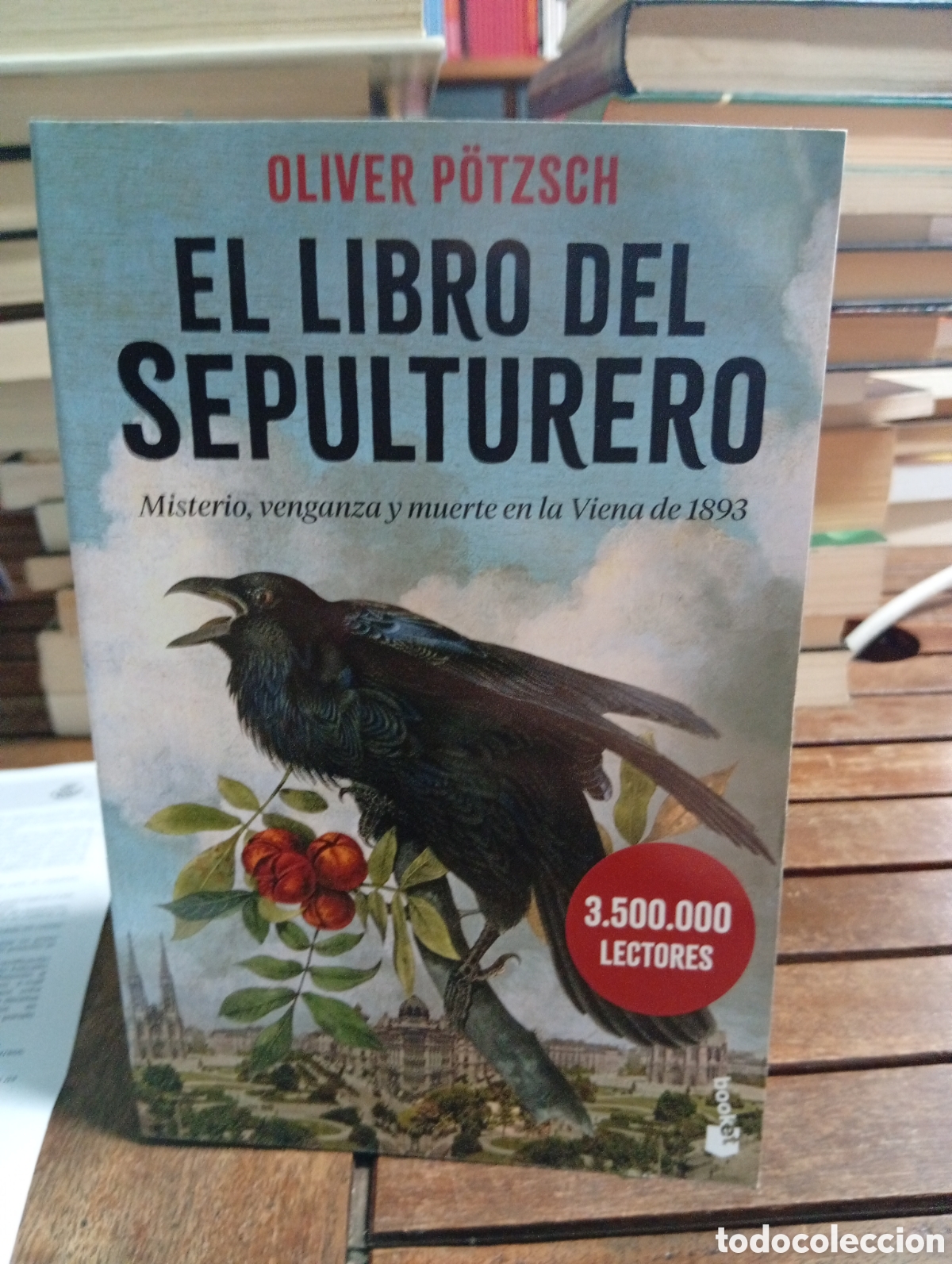 Libros de segunda mano: El libro del sepulturero Oliver P&ouml;tzsch booket