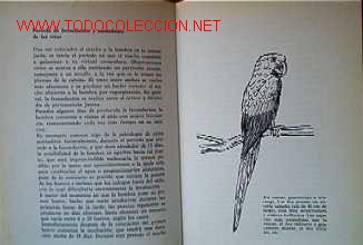 Libros de segunda mano:   - Foto 3