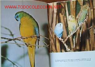 Libros de segunda mano:   - Foto 4