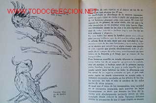 Libros de segunda mano:   - Foto 6