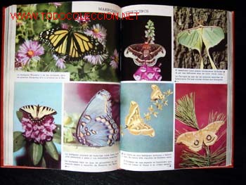 Libros de segunda mano: EL MUNDO DE LOS NI&Ntilde;OS - 7 VOLUMENES - Foto 6