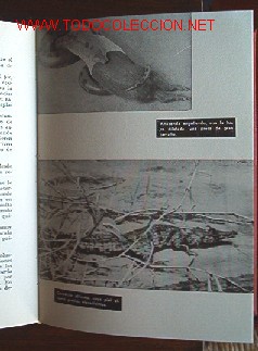 Libros de segunda mano:   - Foto 4
