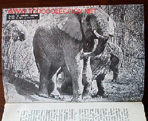 Libros de segunda mano:   - Foto 5