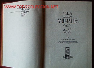 Libros de segunda mano:   - Foto 2
