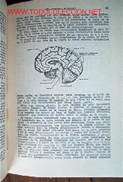 Libros de segunda mano:   - Foto 3