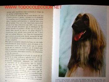 Libros de segunda mano:   - Foto 2