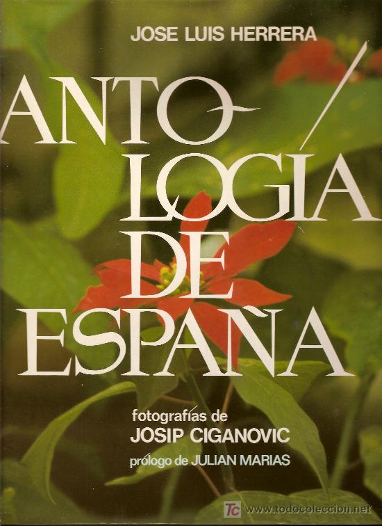 Libros de segunda mano: Antologia de Espa&ntilde;a - Foto 1