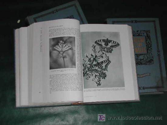 Libros de segunda mano: EL REINO DE LOS ANIMALES de Arthur BERGER y Joseph SCHMID - Foto 4