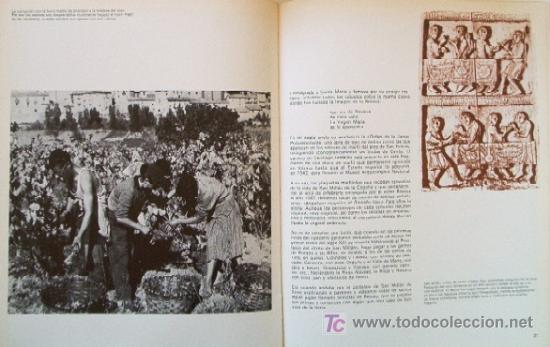 Libros de segunda mano: LOS VINOS DE LA RIOJA - Foto 4