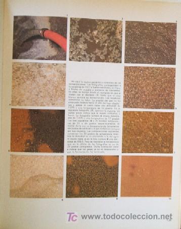 Libros de segunda mano: LOS VINOS DE LA RIOJA - Foto 9