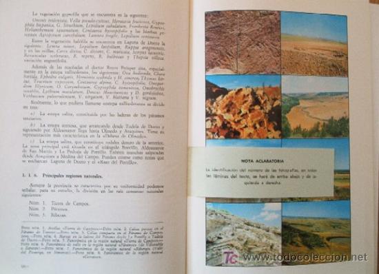Libros de segunda mano: VALLADOLID - MAPAS PROVINCIALES DE SUELOS - Foto 3