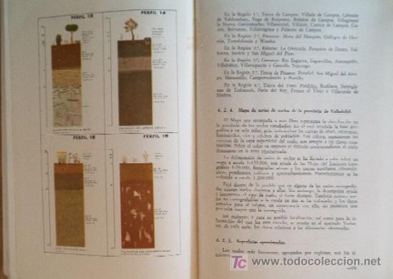 Libros de segunda mano: VALLADOLID - MAPAS PROVINCIALES DE SUELOS - Foto 8