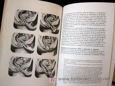 Libros de segunda mano: INFORMACI&Oacute;N SEXUAL PARA J&Oacute;VENES - BENT H. CLA&Euml;SSON - Foto 2