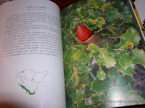 Libros de segunda mano: La flora del monte Serantes. BBK. 331-332 - Foto 2