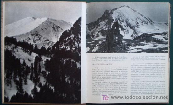 Libros de segunda mano: EL TER - ED. DESTINO - PRIMERA EDICION 1976 - Foto 4