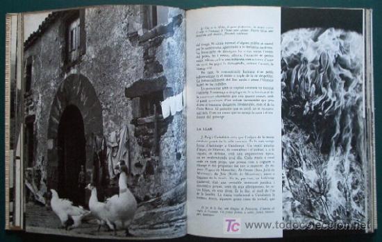 Libros de segunda mano: EL MONTSENY - ED. DESTINO - Foto 6
