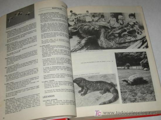 Libros de segunda mano: Libro Guinnes de los Records 1982, edici&oacute;n francesa - Foto 3