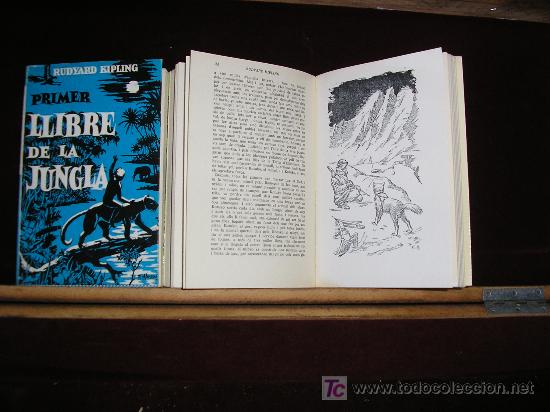 Libros de segunda mano: LLIBRE DE LA JUNGLA. RUDYARD KIPLING. EDIT. SELECTA. 2 TOMOS. ILUSTRACIONES - Foto 3
