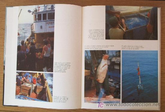 Libros de segunda mano: PESCADORES DE TIBURONES - MARRAJERA I - Foto 4