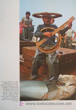 Libros de segunda mano: PESCADORES DE TIBURONES - MARRAJERA I - Foto 5