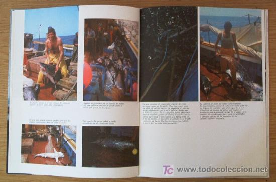 Libros de segunda mano: PESCADORES DE TIBURONES - MARRAJERA I - Foto 6