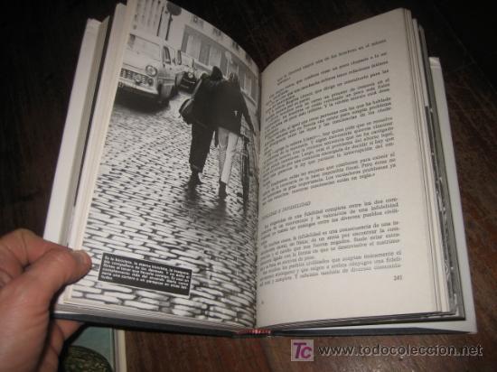 Libros de segunda mano: EL AMOR EN SUECIA - Foto 2