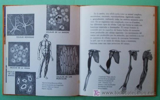 Libros de segunda mano: NUESTRO MUNDO VIVIENTE - Foto 4