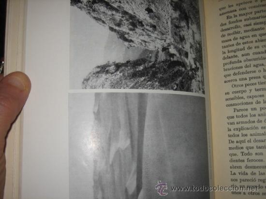 Libros de segunda mano: LA VIDA EN LA TIERRA - Foto 3