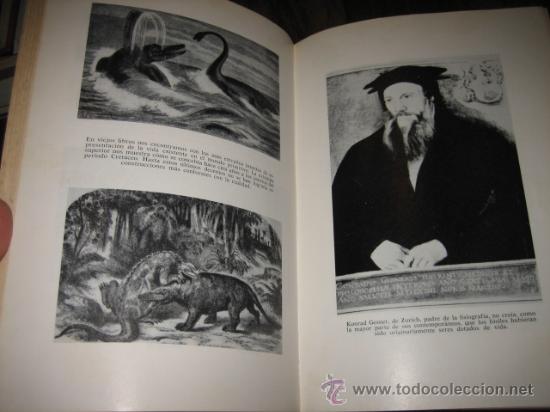 Libros de segunda mano: ANTES DEL DILUVIO HERBERT WENDT EDITORIAL NOGUER S.A - Foto 5